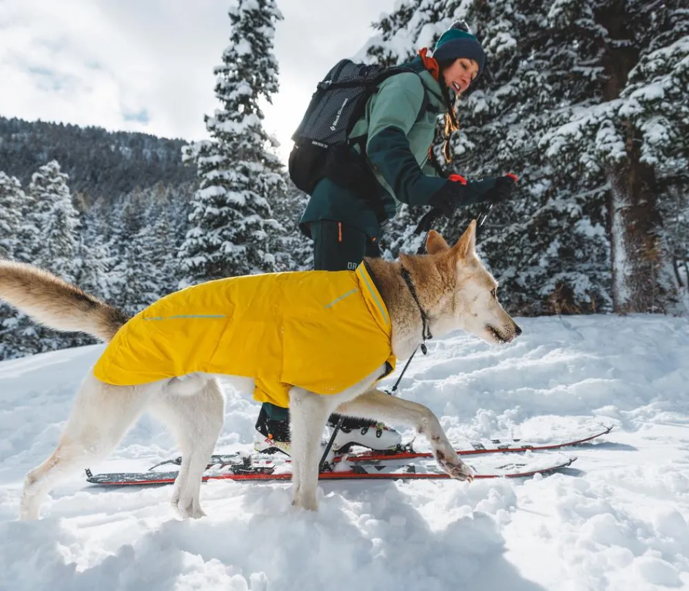 RUFFWEAR® Hundehalsbänder & Geschirre > Sei-Hundehasband Knot-a-Coar™