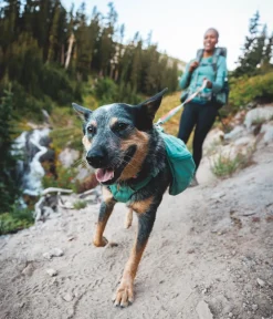 RUFFWEAR® Tageruckack Front Range™ Grün New