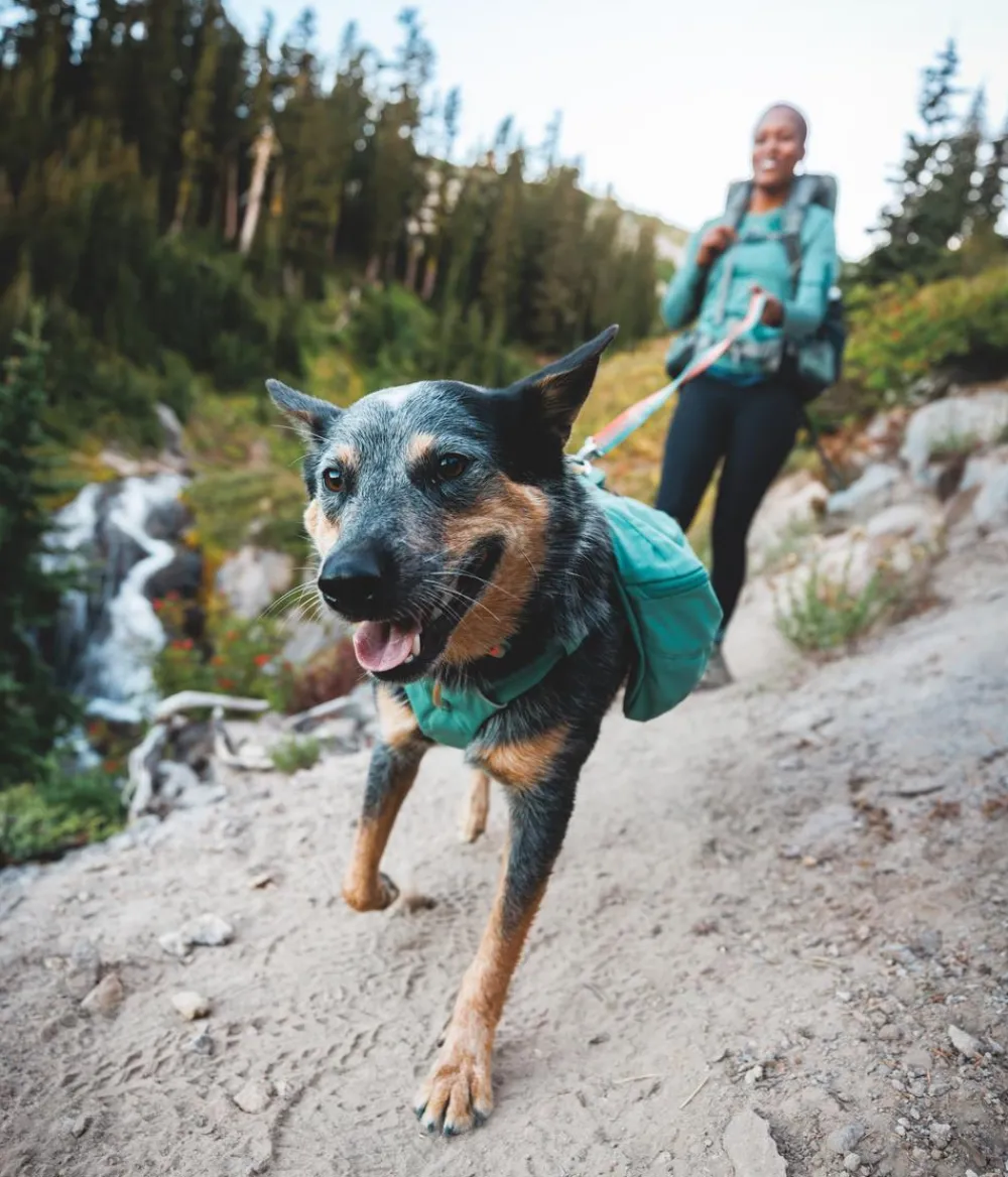 RUFFWEAR® Tageruckack Front Range™ Grün New