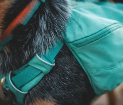 RUFFWEAR® Hundehalsbänder & Geschirre - Tageruckack Front Range™ Grün