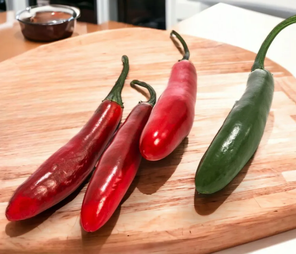 Dehner Salsa-Peperoni Rot Discount