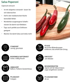 Dehner Salsa-Peperoni Rot Discount