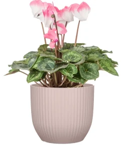 Scheurich Kunststoff-Übertopf Lissy, konisch Rosa