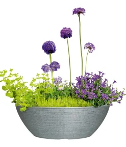 Scheurich Blumentöpfe & Übertöpfe - Kunststoff-Topf Barceo Bowl, rund, ca. Ø39/H18 cm Grau