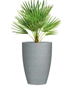 Scheurich Kunststoff-Topf Barceo High, rund Grau Outlet