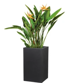 Scheurich Blumentöpfe & Übertöpfe - Kunststoff-Topf C-Cube, quadratisch Grau