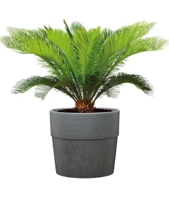 Scheurich Blumentöpfe & Übertöpfe > Kunststoff-Topf Groove+, rund, ca. Ø28,5/H26 cm