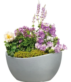 Scheurich Kunststoff-Topf Wave Globe, rund, ca. Ø39,3/H21 cm Grau Sale