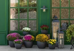 Scheurich Vasen|Blumentöpfe & Übertöpfe - Kunststoff-Topf Wave Globe, konisch Schwarz