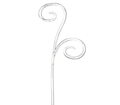 Scheurich Orchideenstab, 60 cm Transparent Best
