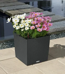 Dehner Schmuckkörbchen, verschiedene Farben Clearance