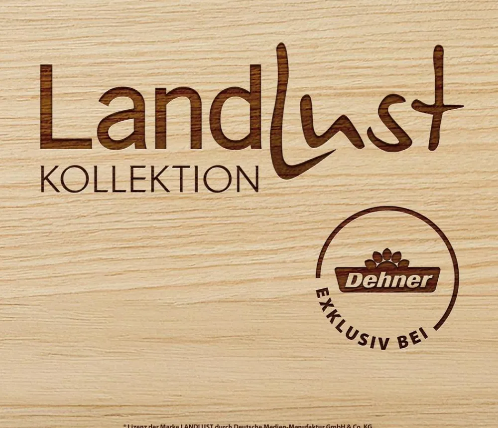 Dehner Terrassenpflanzen - Schmucklilie 'Fireworks', Landlust Kollektion
