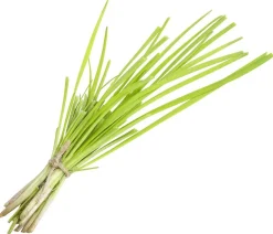 Dehner Garten- & Heilkräuter|Küchenkräuter > Schnittknoblauch