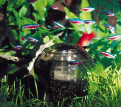 Söchting Oxydator® Mehr Pflege & Technik > SÖCHTING OXYDATOR® Aquariumpflege Carbonator