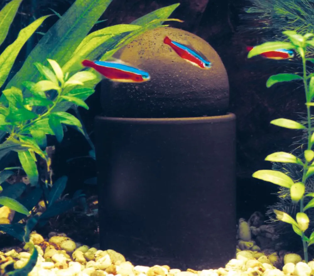 Söchting Oxydator® Mehr Pflege & Technik - SÖCHTING OXYDATOR® Aquariumpflege Oxydator A