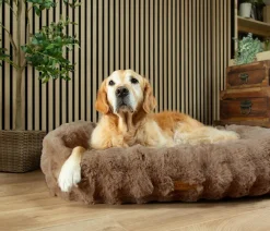 Scruffs Hundebetten & Körbe|Katzenbetten & Katzenkissen > Hundebett Apine Box Bed