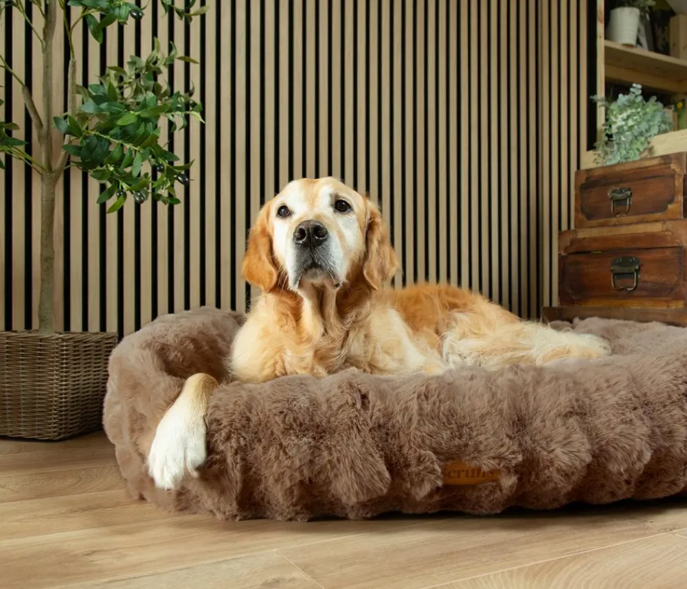 Scruffs Hundebetten & Körbe|Katzenbetten & Katzenkissen > Hundebett Apine Box Bed