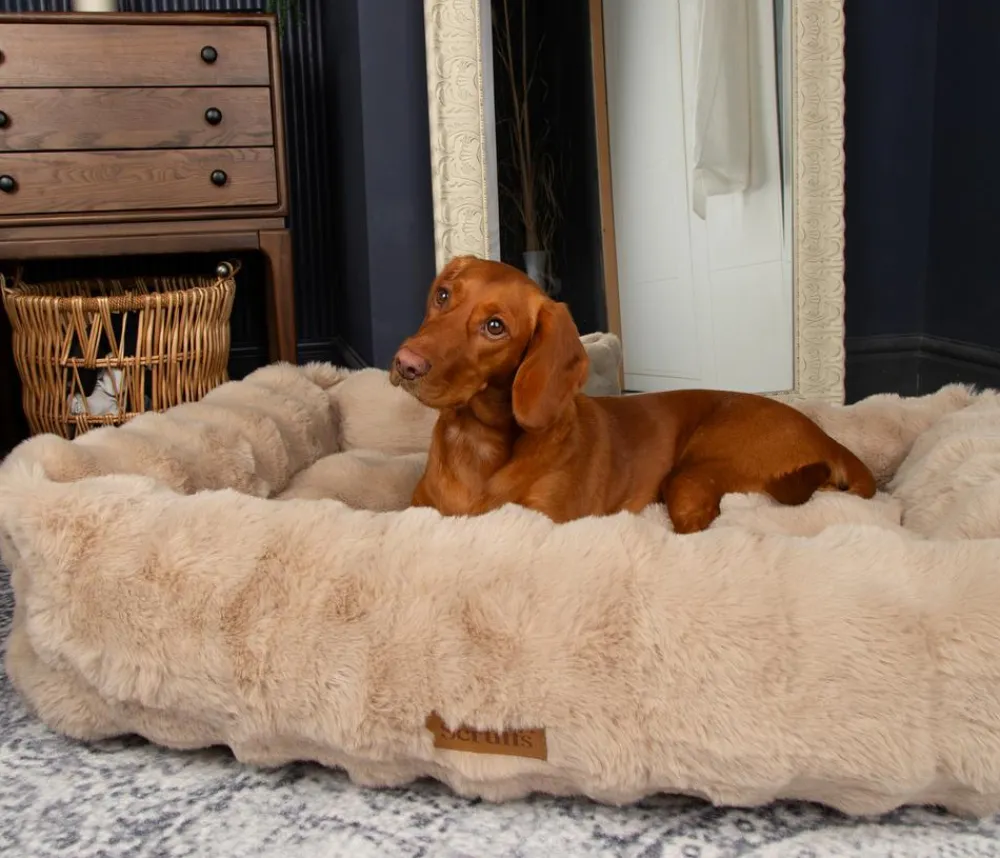 Scruffs Hundebetten & Körbe|Katzenbetten & Katzenkissen - Hundebett Apine Box Bed Beige