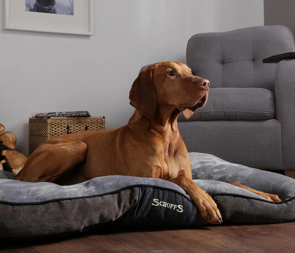 Scruffs Hundekissen - Hundekissen Chester atress Braun