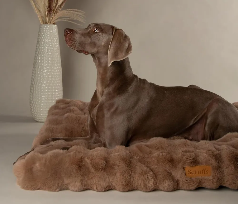 Scruffs Hundekissen > Hundematratze Apine Matress