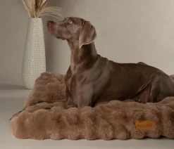 Scruffs Hundekissen - Hundematratze Apine Matress Beige
