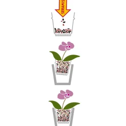 Torf & Blähton|Spezialerde - Seramis Spezial-Substrat für Orchideen