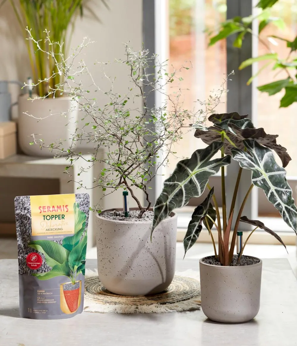 Seramis Torf & Blähton|Spezialerde - Topper-Granulat Graphite, 1 l Grau