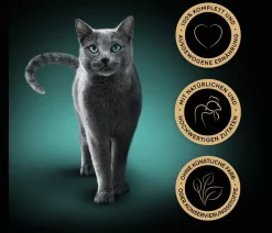 Sheba® Nassfutter für Katzen Classics in Pastete,
