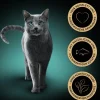 Sheba® Nassfutter Katze - Nassfutter für Katzen Delikatesse in Gelee, Thunfisch, 28 x 85 g