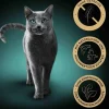 Sheba® Nassfutter Katze - Nassfutter für Katzen Nature's Collection in Sauce Multipack Adult, Feine Vielfalt, 40 x 85 g