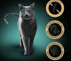 Sheba® Nassfutter Katze - Nassfutter für Katzen Nature's Collection in Sauce Multipack Adult, Feine Vielfalt, 40 x 85 g
