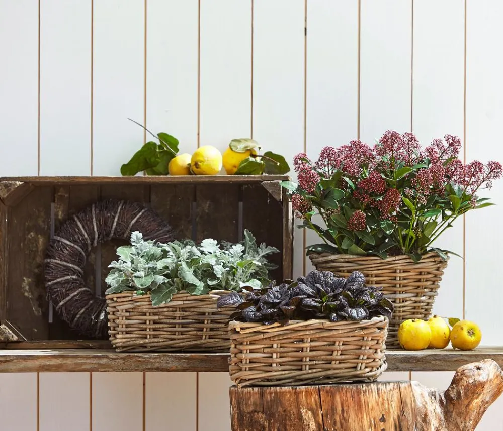 Dehner Grabschmuck & Grabgestaltung - blatt