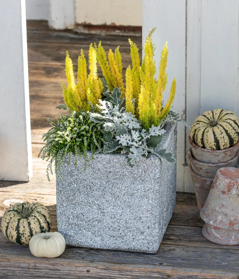Dehner Grabschmuck & Grabgestaltung - blatt