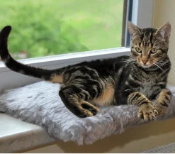 SILVIO design Fensterliege für Katzen Grau Discount