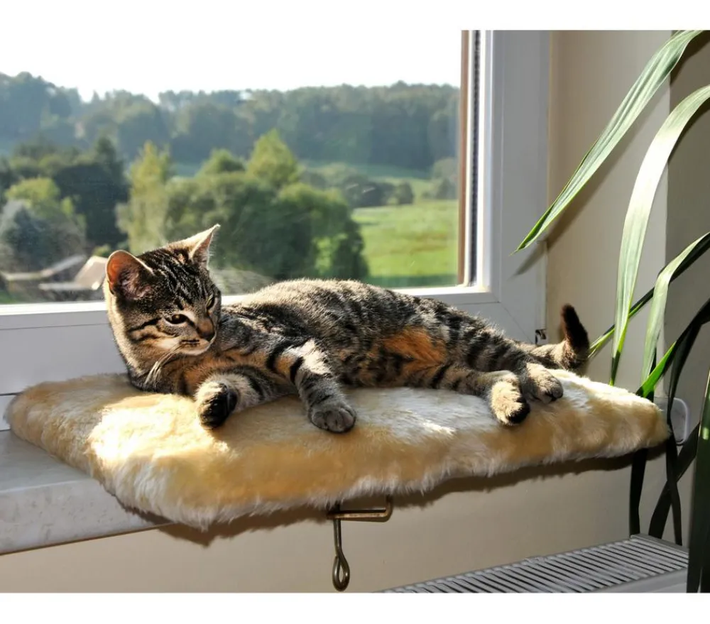 SILVIO design Mehr Schlaf- & Kratzmöbel - Fensterliege für Katzen Beige