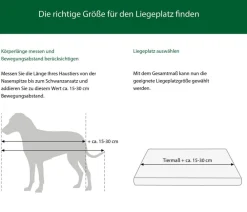 SILVIO design Hundekissen - Hundebett Silvio mit Pfotenmuster, rechteckig Beige