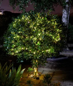 smart garden Solarleuchten - Solarlichterkette