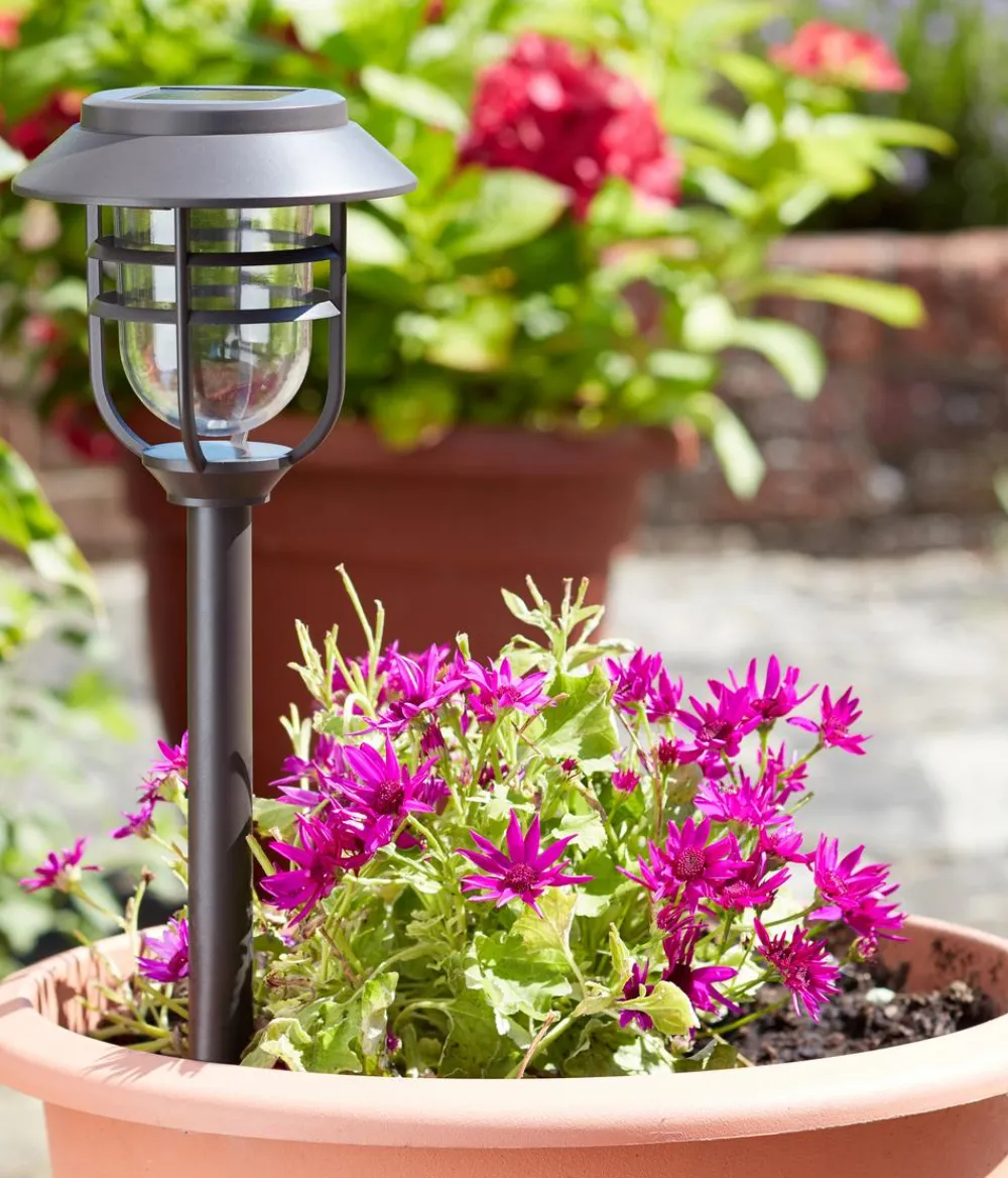 smart garden Solarleuchten > Solar-Pfahlleuchte Avant 5er-Set, ca. B13,2/H43/T13,2 cm