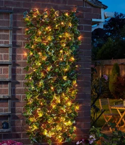 smart garden Solar-Spalier Efeu, ca. 180 cm Sale