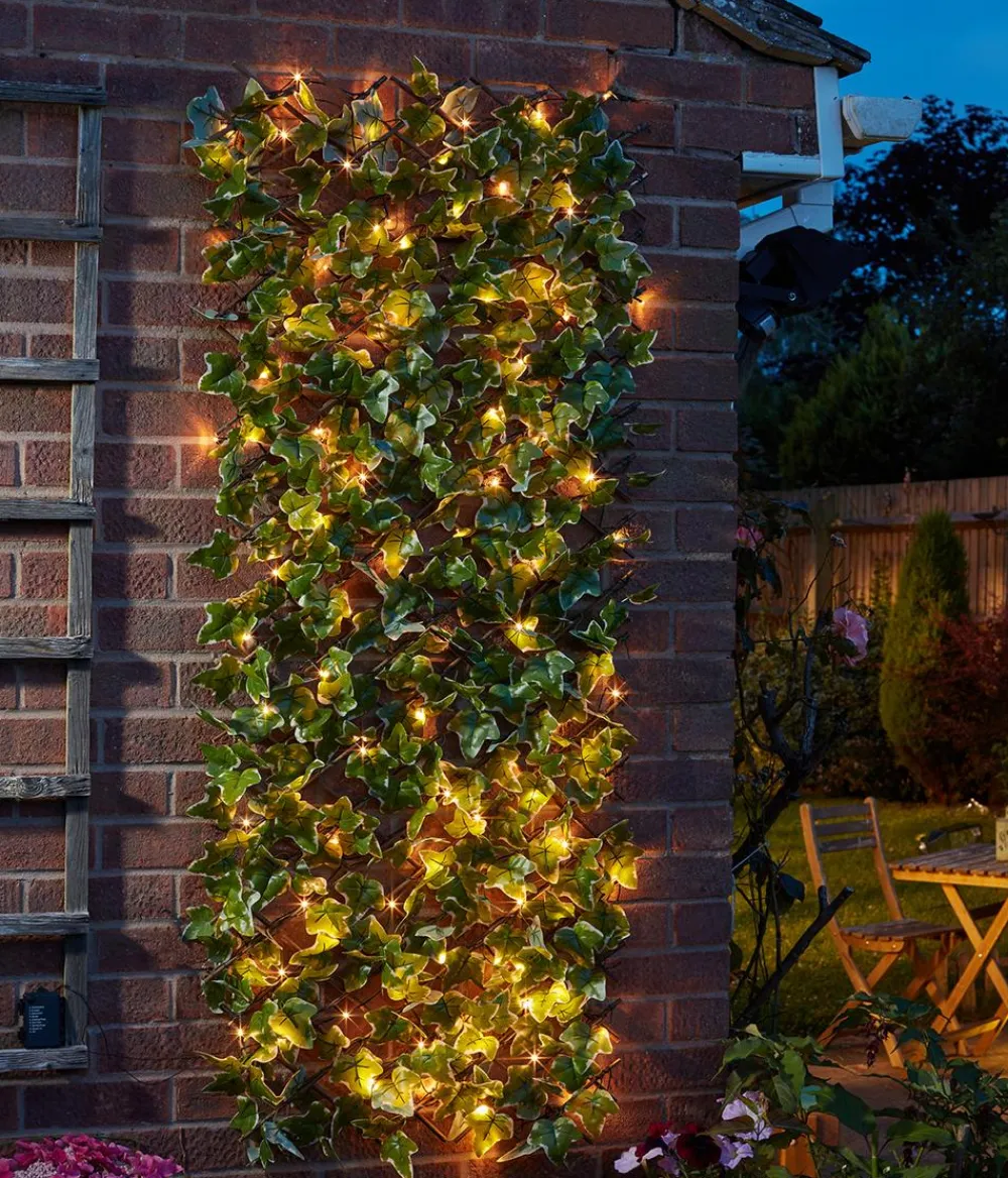 smart garden Solar-Spalier Efeu, ca. 180 cm Sale