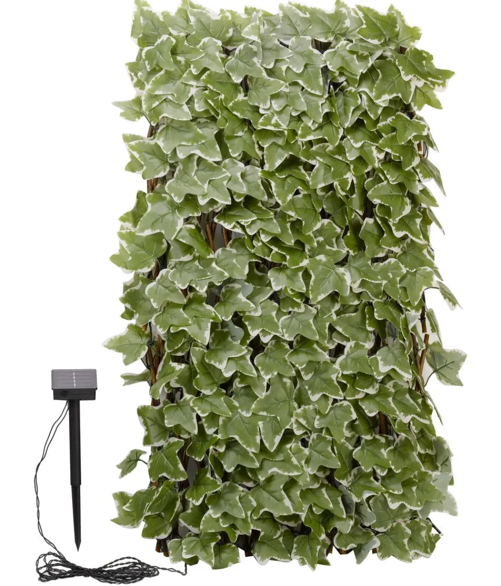 smart garden Solar-Spalier Efeu, ca. 180 cm Sale