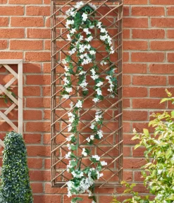 smart garden Rankgitter & Obelisken > Weide-Spalier, ca. B45/H120/T6 cm