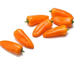 Dehner Peperoni- & Paprikapflanzen - Snackpaprika, Orange