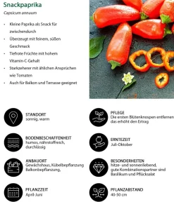 Dehner Snackpaprika, Rot Online