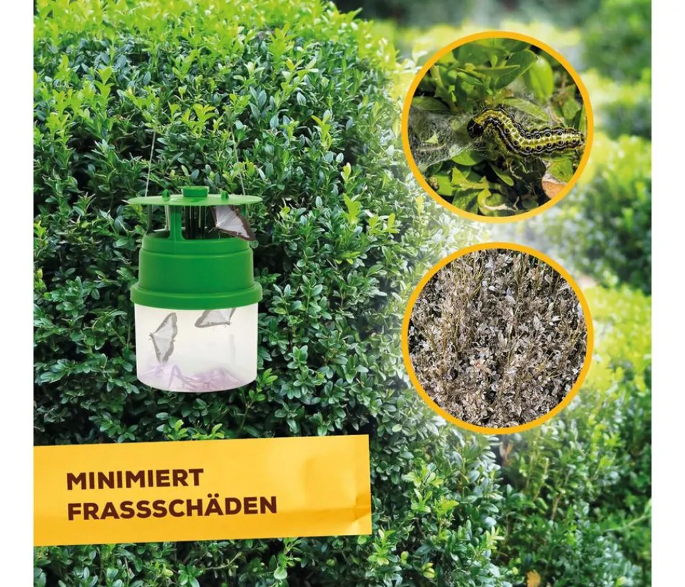 Solabiol Schädlingsbekämpfungsmittel|Insektenschutz & Fallen > ® Buchsbaumzünsler-Falle