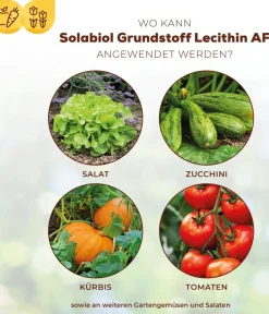 Solabiol Pilzmittel - ® Grundstoff Lecithin Spray, flüssig, 1 l