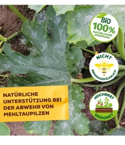 Solabiol Pilzmittel - ® Grundstoff Lecithin Spray, flüssig, 1 l