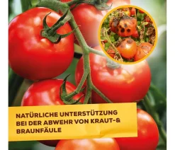 Solabiol Pilzmittel - ® Grundstoff Lecithin Spray, flüssig, 1 l