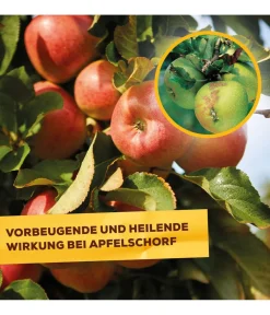 Solabiol ® Pilzfrei AF, flüssig, 750 ml Hot