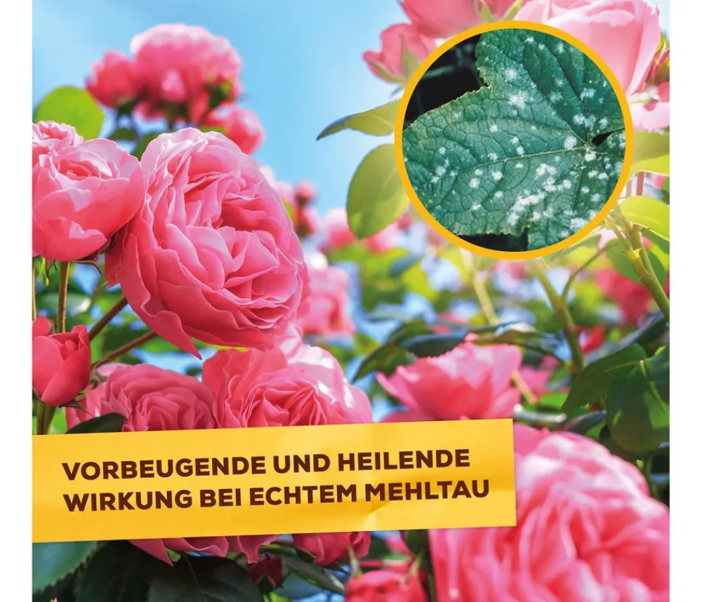Solabiol ® Pilzfrei AF, flüssig, 750 ml Hot